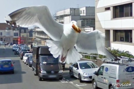 Cool Pic To Make You Smile