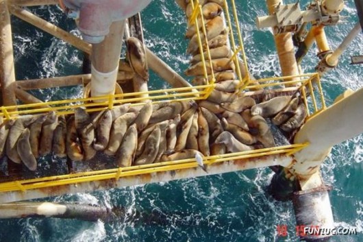 Cool Pic To Make You Smile