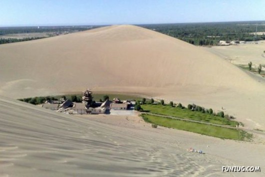 Cool Pic To Make You Smile