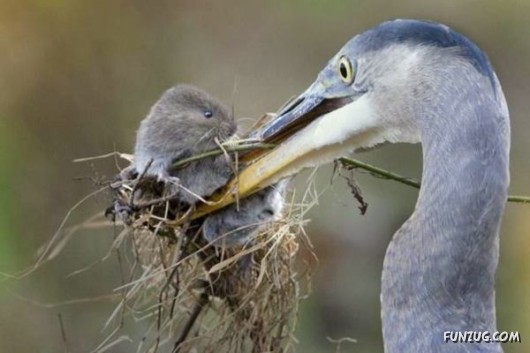 Cool Pic To Make You Smile