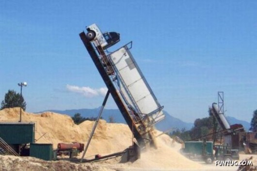 Cool Pic To Make You Smile