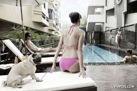 Cool Pic To Make You Smile