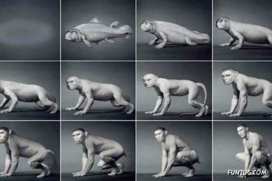 Cool Pic To Make You Smile