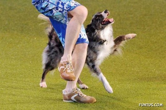 Cool Pic To Make You Smile