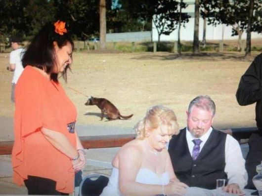 Crazy Cool Funny Pictures