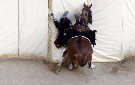 Crazy Cool Funny Pictures