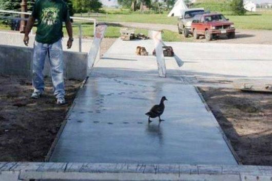 Crazy Cool Funny Pictures