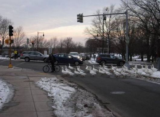 Crazy Cool Funny Pictures