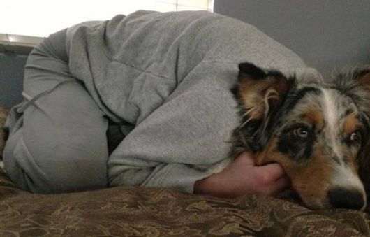 Crazy Cool Funny Pictures