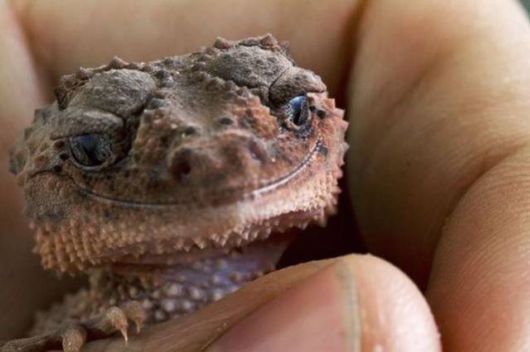 Crazy Cool Funny Pictures