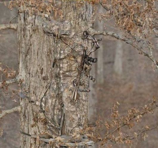 Crazy Cool Funny Pictures