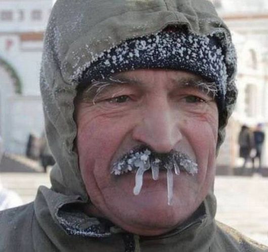 Crazy Cool Funny Pictures