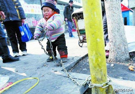 Crazy Funny Daily Pics