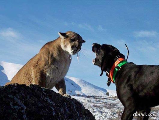 Crazy Funny Daily Pics