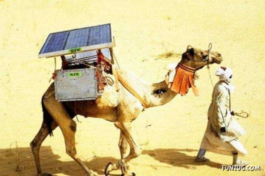 Daily Dose of Funny Pic Shots