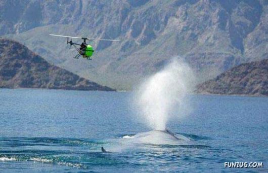 Daily Dose of Funny Pic Shots