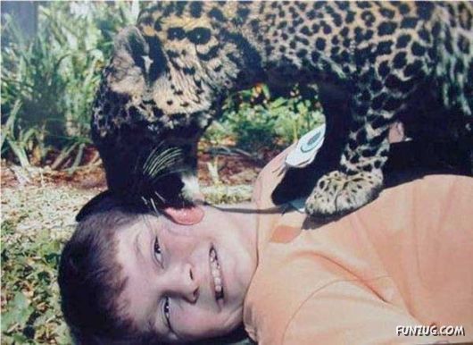 Daily Dose of Funny Pic Shots