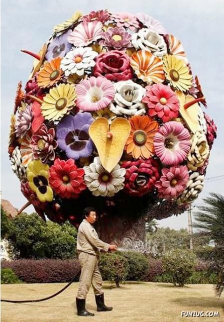 Funny Images Collection