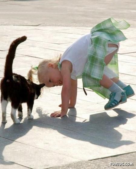 Funny Images Collection