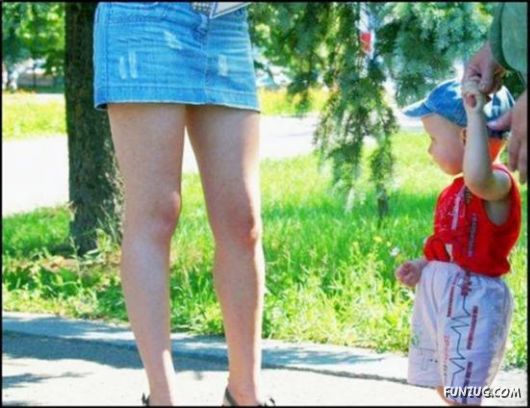 Funny Images Collection