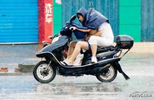 Funny Images Collection