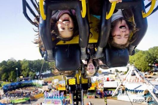 Funny Images Collection