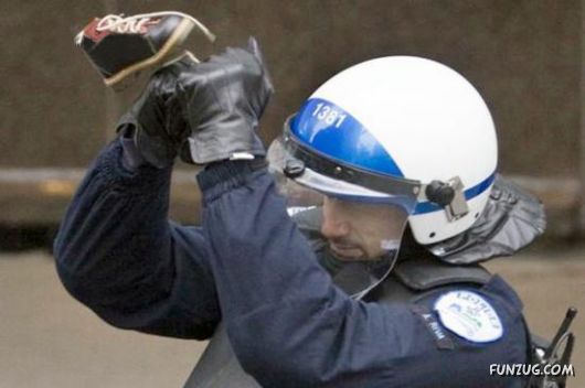 Funny Images Collection