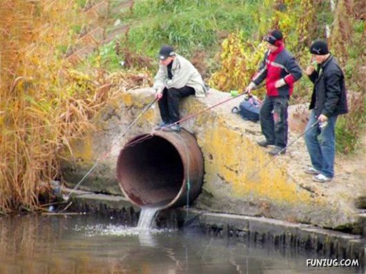 Funny Images Collection