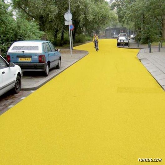 Funny Images Collection