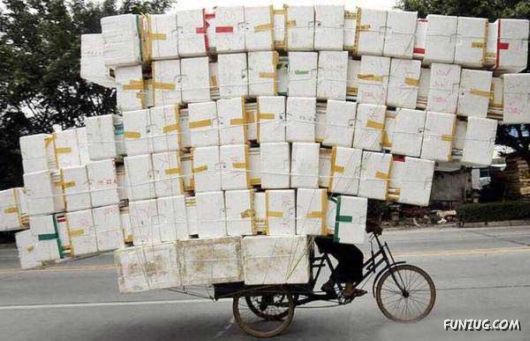 Skillful Masters of Transportation