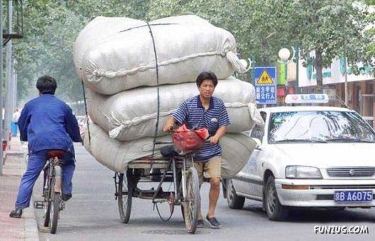 Skillful Masters of Transportation