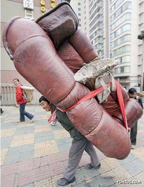 Skillful Masters of Transportation