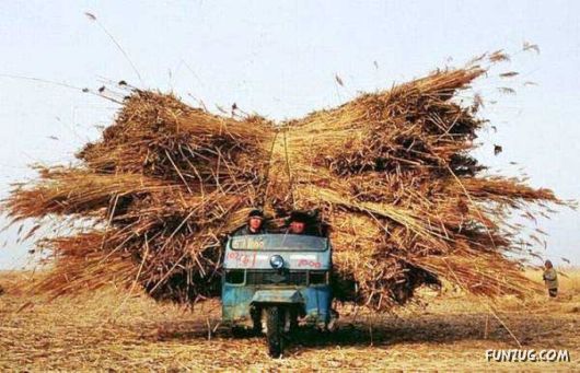 Skillful Masters of Transportation