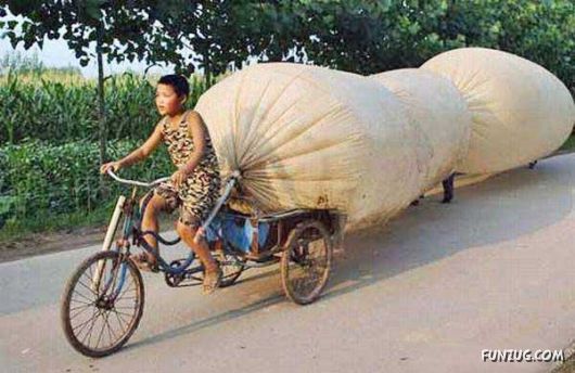 Skillful Masters of Transportation