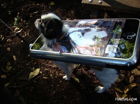 My Owner is an Idiot