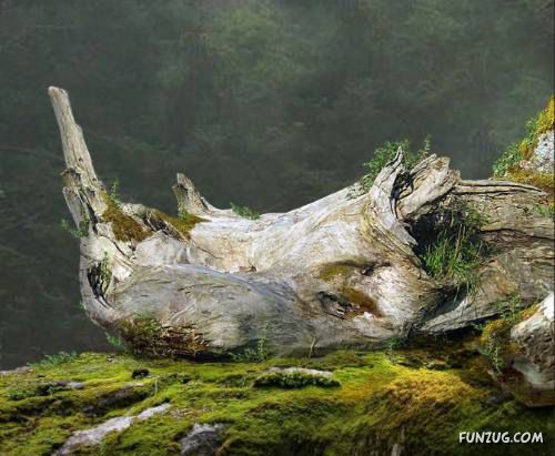 Mother Nature Vs. Photoshop