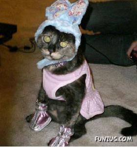 Signs You Are Having A Bad Day