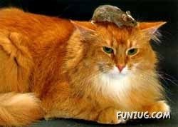 Signs You Are Having A Bad Day