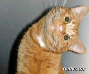 Signs You Are Having A Bad Day