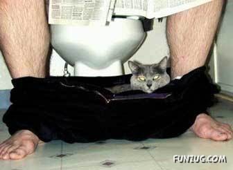 Signs You Are Having A Bad Day