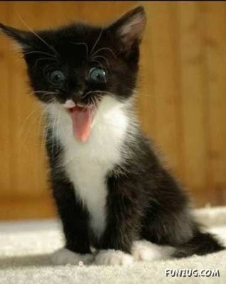 Signs You Are Having A Bad Day