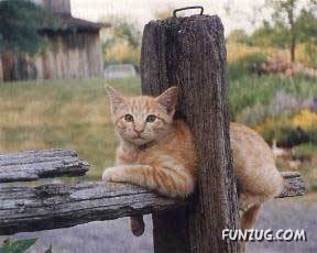 Signs You Are Having A Bad Day