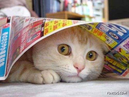 Signs You Are Having A Bad Day