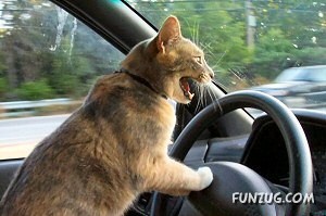 Signs You Are Having A Bad Day