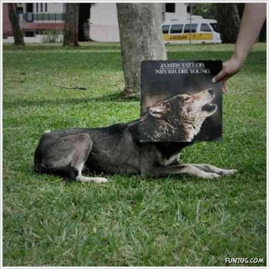 Sleeve Face Creative And Funny Art