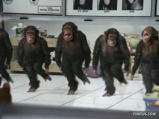 Funny Animals Showing their Dancing Skills