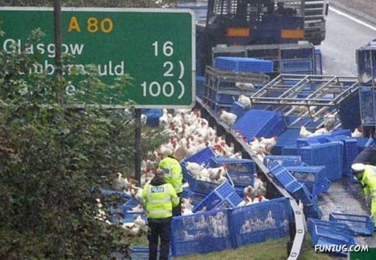 Specialist Of The Fastest Cargo Delivery