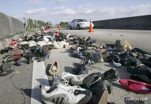 Specialist Of The Fastest Cargo Delivery