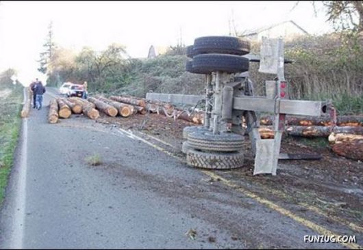 Specialist Of The Fastest Cargo Delivery