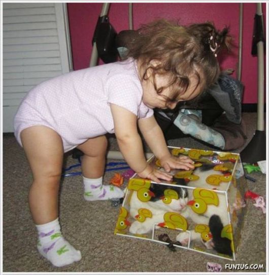 Cool Funny Pictures Of The Day